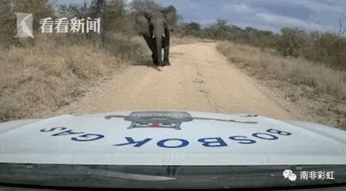非洲汽车多重多少吨 非洲汽车多重多少吨