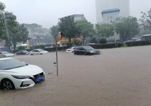 汽车水泡了保险赔多少