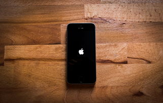 美高官:百万美国人将拧螺丝造iPhone 美高官:百万美国人将拧螺丝造iPhone