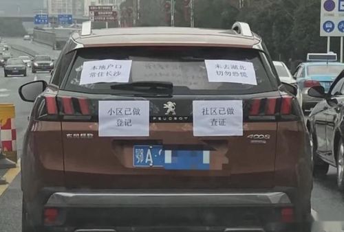 武汉汽车牌照多少钱 武汉汽车牌照多少钱