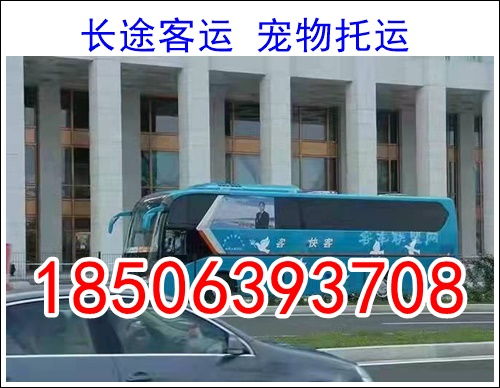 房县到东莞汽车多少钱 房县到东莞汽车多少钱