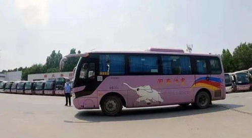 合江汽车站班次多少 合江汽车站班次多少