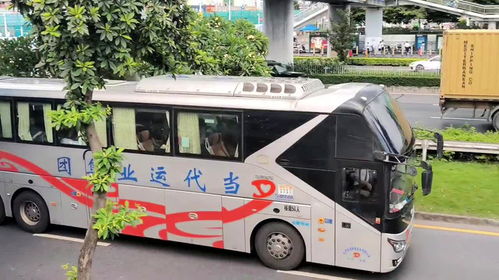 三亚到海口汽车多少钱 三亚到海口汽车多少钱