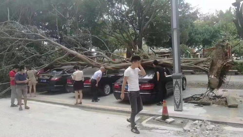 大风要刮到什么时候 大风要刮到什么时候