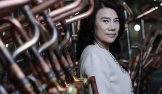 董明珠:格力电车从没出火灾事故 董明珠:格力电车从没出火灾事故