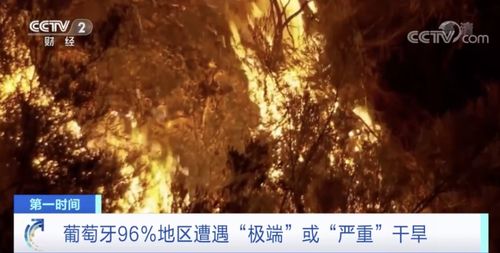 以色列因山火宣布进入国家紧急状态 以色列因山火宣布进入国家紧急状态