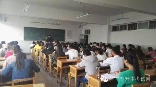 一学院“本升专”引发热议 校方回应 一学院“本升专”引发热议 校方回应