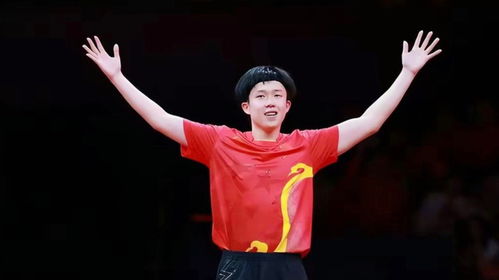 王楚钦为啥一直无法重返世界第一 王楚钦为啥一直无法重返世界第一