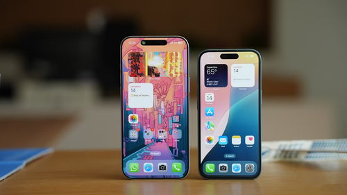 国补版iPhone16Pro被抢空 国补版iPhone16Pro被抢空