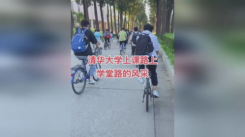 自行车你们是想考清华吧 自行车你们是想考清华吧