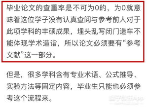 毕业论文\不说人话\才能过审吗 毕业论文\不说人话\才能过审吗
