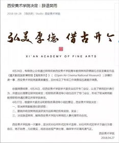 董袭莹入学资格造假、抄袭剽窃