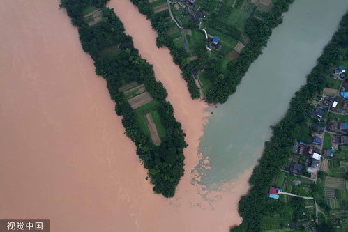 广西一地持续暴雨:稻田成河(广西持续暴雨,稻田成河的自然现象与背后的挑战) 广西一地持续暴雨:稻田成河(广西持续暴雨,稻田成河的自然现象与背后的挑战)