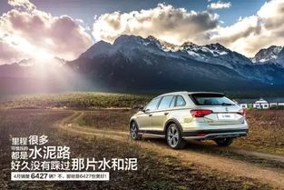 sow哪里汽车多少(探寻汽车市场中的sow，究竟在哪里，价格几许？