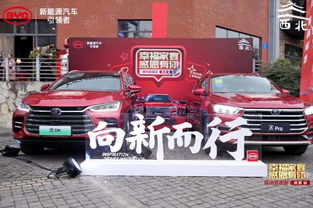 汽车秘密知道多少(汽车秘密知道多少，探索汽车世界的奥秘)