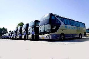 做多少路汽车(城市出行,如何选择做多少路汽车) 做多少路汽车(城市出行,如何选择做多少路汽车)