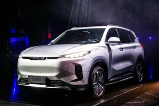 汽车定做汽车摆件多少钱(汽车定制摆件,价格与个性化选择) 汽车定做汽车摆件多少钱(汽车定制摆件,价格与个性化选择)