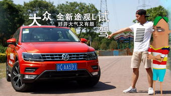 大众汽车tsr汽车多少(大众汽车与TSR,探索汽车技术的深度与广度) 大众汽车tsr汽车多少(大众汽车与TSR,探索汽车技术的深度与广度)