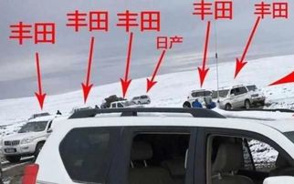 汽车宿舍租一个月多少钱(汽车宿舍租一个月多少钱，城市差异与多种因素考量)