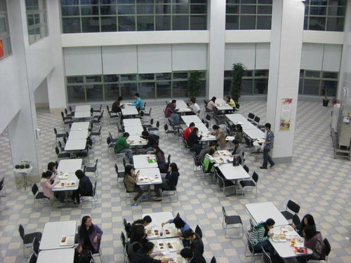 南京一大学食堂招博士?校方回应(南京一大学食堂招聘博士,校方回应背后的深层意义) 南京一大学食堂招博士?校方回应(南京一大学食堂招聘博士,校方回应背后的深层意义)