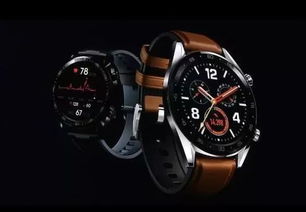 华为watch gt怎么连接电脑(华为Watch GT连接电脑,详细步骤与操作指南) 华为watch gt怎么连接电脑(华为Watch GT连接电脑,详细步骤与操作指南)