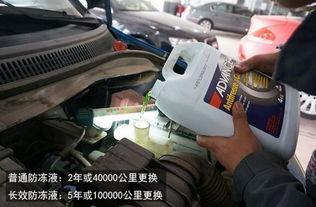 汽车安全带换两根多少钱(汽车安全带更换费用解析,两根新安全带究竟需要多少钱? 汽车安全带换两根多少钱(汽车安全带更换费用解析,两根新安全带究竟需要多少钱?