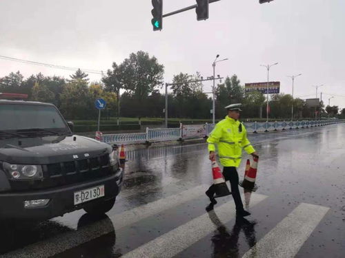 武汉暴雨街头有车“吃井盖”武汉暴雨街头惊现车辆吃井盖,城市安全与应急管理的双重挑战) 武汉暴雨街头有车“吃井盖”武汉暴雨街头惊现车辆吃井盖,城市安全与应急管理的双重挑战)