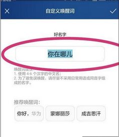 u盘电脑专用华为怎么用(华为专用U盘在电脑中的使用方法详解) u盘电脑专用华为怎么用(华为专用U盘在电脑中的使用方法详解)