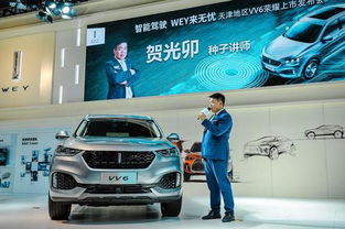 vv6汽车前灯罩多少钱(VV6汽车前灯罩价格解析)