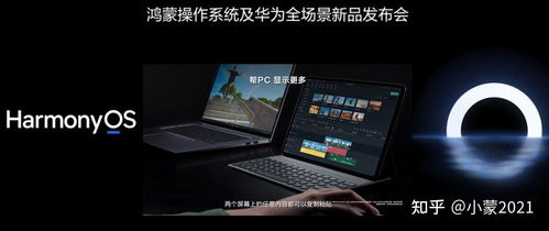 华为电脑存储网咖怎么用(华为电脑存储网咖使用指南) 华为电脑存储网咖怎么用(华为电脑存储网咖使用指南)