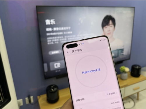 华为电脑爱奇艺怎么用(华为电脑与爱奇艺,无缝结合的视听体验) 华为电脑爱奇艺怎么用(华为电脑与爱奇艺,无缝结合的视听体验)
