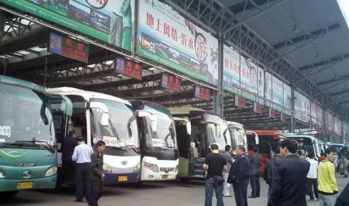 汽车站有多少人去过海南(汽车站与海南之旅，千万人的海南梦)