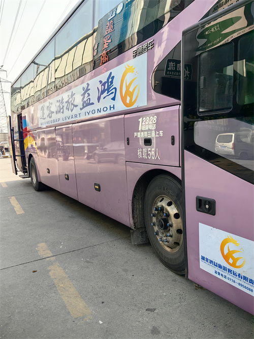 临沂到太安汽车票多少钱(临沂到太安汽车票价详解,费用、时间与路线) 临沂到太安汽车票多少钱(临沂到太安汽车票价详解,费用、时间与路线)