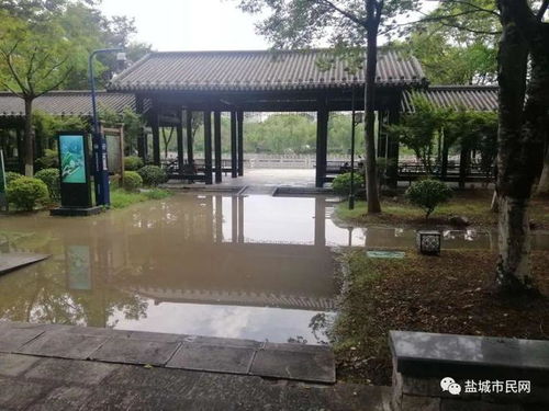 醉白池到汽车站多少钱(醉白池到汽车站的价格与旅途体验) 醉白池到汽车站多少钱(醉白池到汽车站的价格与旅途体验)