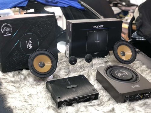 汽车选装音箱多少钱一天(汽车选装高品质音箱的费用及其日常考量) 汽车选装音箱多少钱一天(汽车选装高品质音箱的费用及其日常考量)