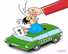 家庭组装一台汽车多少钱(家庭组装一台汽车的成本分析)