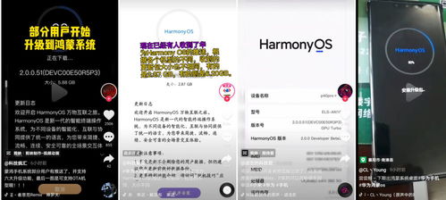 华为鸿蒙os怎么用电脑升级(华为鸿蒙OS电脑升级指南) 华为鸿蒙os怎么用电脑升级(华为鸿蒙OS电脑升级指南)
