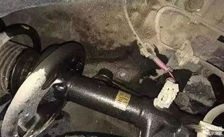 电动汽车减震器加多少油(电动汽车减震器加油量的正确指导) 电动汽车减震器加多少油(电动汽车减震器加油量的正确指导)