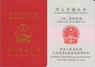 汽车技师二级证书多少钱(汽车技师二级证书的价值与费用探讨) 汽车技师二级证书多少钱(汽车技师二级证书的价值与费用探讨)