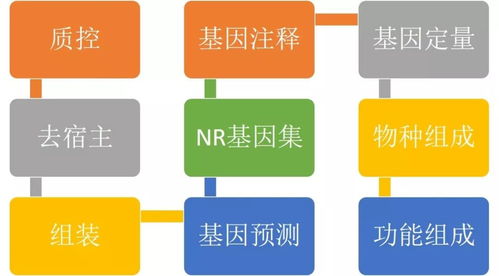 汽车体检一次多少钱费用(汽车体检一次的费用详解) 汽车体检一次多少钱费用(汽车体检一次的费用详解)