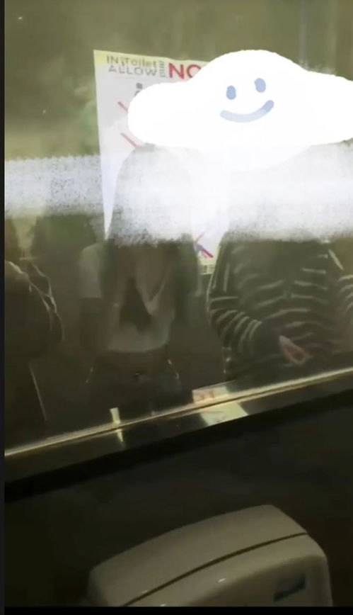 北大男硕士在女厕偷拍被抓(北大男硕士女厕偷拍行为曝光,探究背后的心理与社会影响) 北大男硕士在女厕偷拍被抓(北大男硕士女厕偷拍行为曝光,探究背后的心理与社会影响)