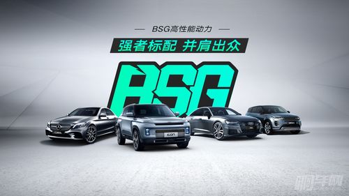 动力强的汽车多少钱一瓶(动力强的汽车多少钱一瓶?探究高性能汽车的价格与价值) 动力强的汽车多少钱一瓶(动力强的汽车多少钱一瓶?探究高性能汽车的价格与价值)