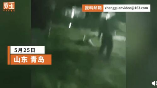 大学书记直播殴打学生？校方回应(大学书记直播殴打学生事件，深度分析与校方的回应)