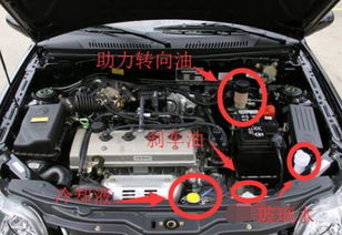 自由舰汽车防冻液加多少(自由舰汽车防冻液加注量详解) 自由舰汽车防冻液加多少(自由舰汽车防冻液加注量详解)