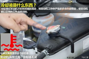 汽车灯泡加多少标号的水(汽车灯泡维护指南,如何正确为汽车灯泡添加适当标号的冷却液水) 汽车灯泡加多少标号的水(汽车灯泡维护指南,如何正确为汽车灯泡添加适当标号的冷却液水)