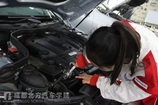探歌汽车防冻液加多少升(探歌汽车防冻液加多少升,详解与操作指南) 探歌汽车防冻液加多少升(探歌汽车防冻液加多少升,详解与操作指南)
