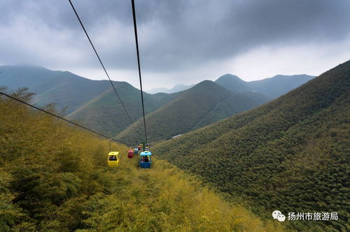 永川到竹海汽车站多少钱(永川到竹海汽车站的价格,探寻旅程的费用与细节) 永川到竹海汽车站多少钱(永川到竹海汽车站的价格,探寻旅程的费用与细节)