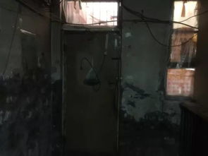 35岁小伙不结婚 爆改山洞隐居4年(山洞隐居的孤独行者,一位35岁小伙的别样人生选择) 35岁小伙不结婚 爆改山洞隐居4年(山洞隐居的孤独行者,一位35岁小伙的别样人生选择)