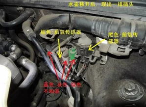 轩逸汽车氧传感器多少钱(轩逸汽车氧传感器价格解析)