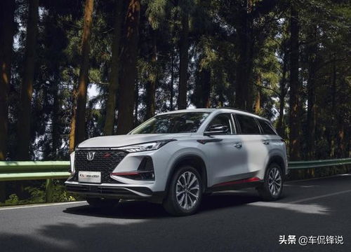 两个人开蒸汽车多少钱(两个人开蒸汽车的成本分析) 两个人开蒸汽车多少钱(两个人开蒸汽车的成本分析)